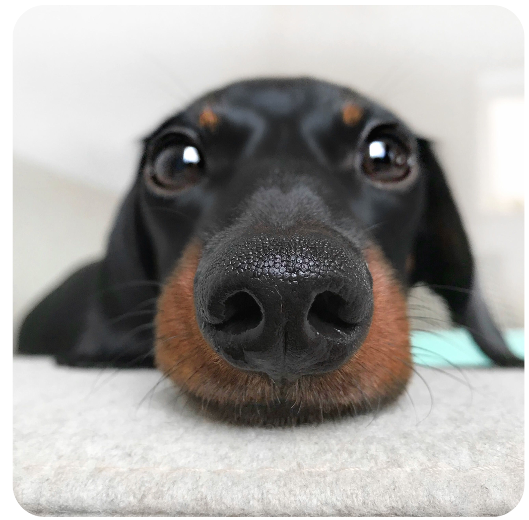 Hosting by ZenaConsult